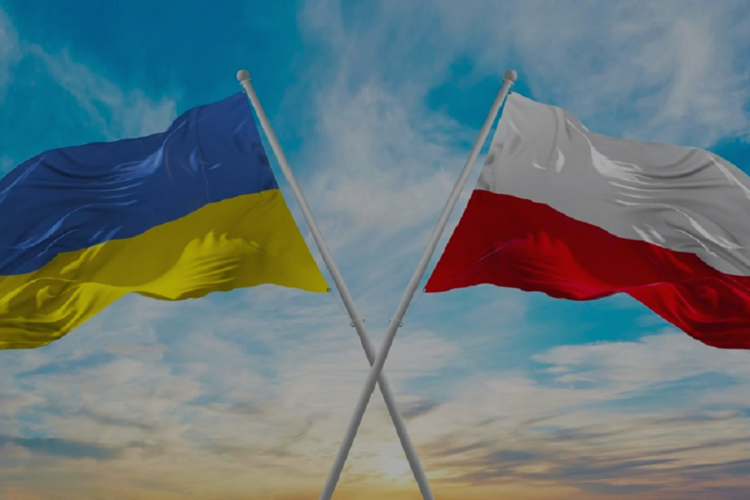 Как легализироваться беженцу из Украины в 2023 году в Польше? Главные новости и правила